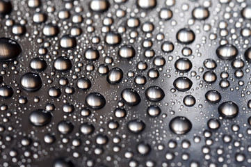 Drops. Tropfen. Капли