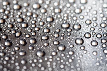Drops. Tropfen. Капли