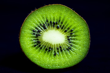 kiwi © Magdziak Marcin
