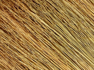 grunge texture of dried grass
