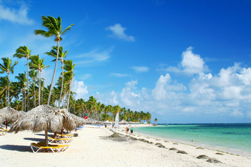 Caribbean resort beach with palm trees and sunshades - obrazy, fototapety, plakaty