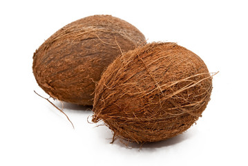 coconut