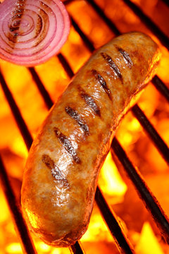 Grilled Sausage and Onion