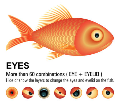 45 件の最適な 隠れる金魚 画像 ストック写真 ベクター Adobe Stock