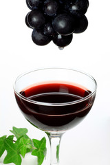 wine and grape