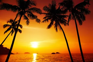 Papier Peint photo Mer / coucher de soleil Silhouette de palmiers au coucher du soleil