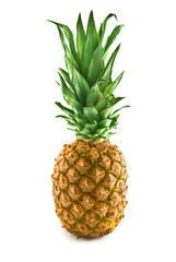 Fototapeta premium pineapple