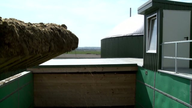 Traktor füllt Mais in Biogasanlage