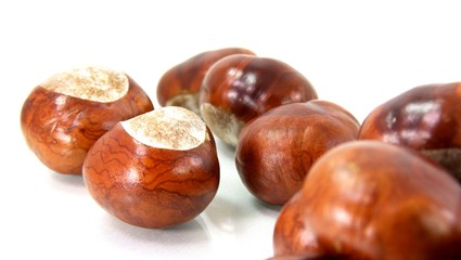 IMG_1820_chestnut08.jpg