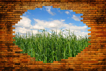 Hole in brick wall with view on field and blue sky