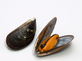 moules de cordages