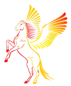 pegasus