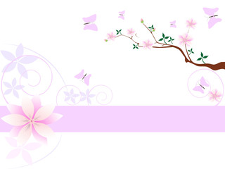 Magnolia flowers background with place for your text
