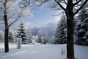 Winter Landscapes