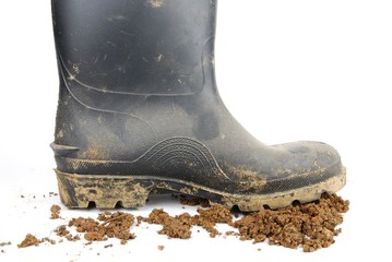 Black rubber boot and soil on white
