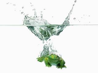 Osterfrosch Eierschale