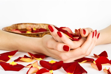 Hands with manicure and red rose petals during spa