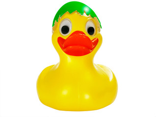 Osterente Frontal grün