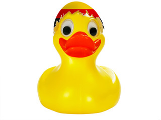 Osterente Frontal Flagge Deutschland