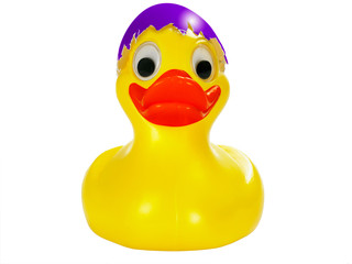 Osterente Frontal lila