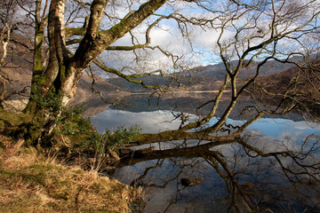 Llyn Dinas reflections