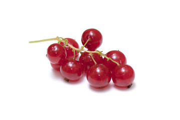 red currant