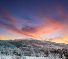 Foto auf Alu-Dibond winter evening landscape © Yuriy Kulik