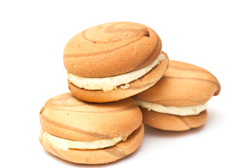 biscuit