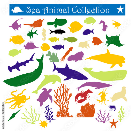 Download "sea animals.svg" Stock image and royalty-free vector files on Fotolia.com - Pic 20023373