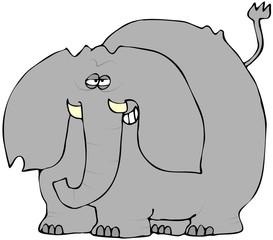 Smirking Elephant