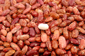 Background from a brown string bean and one white bean