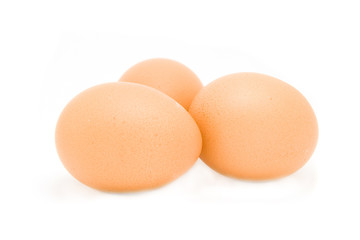 eggs isolated