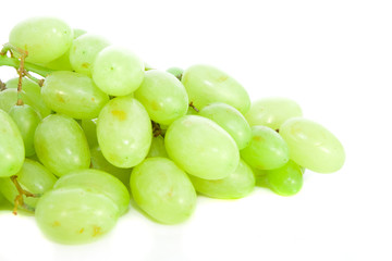 grapes isolated