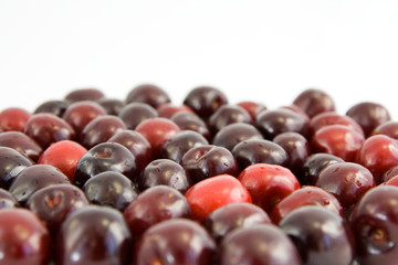 cherries isolated
