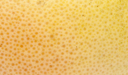 Grapefruit Skin Background