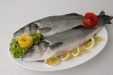 bass fish