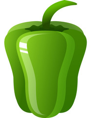 Green Bell Pepper
