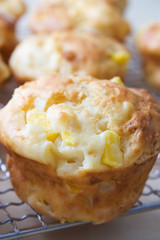 Mango Muffin