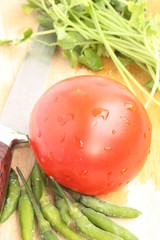 Cutting board with coriander, tomato and green chili
