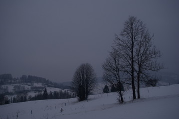 mglisty pejzaż © GKor