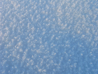 Obraz premium Snow field close up