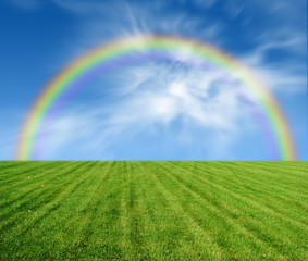 Naklejka premium beautiful green fields