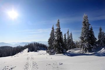 Schiwandern - back country skiing