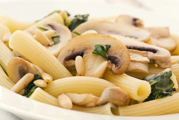 Rigatoni mit Champignon