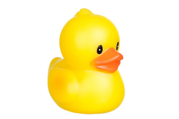 Yellow plastic duck