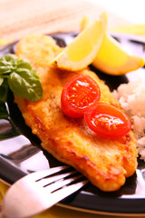 gebratener fisch,pangasius