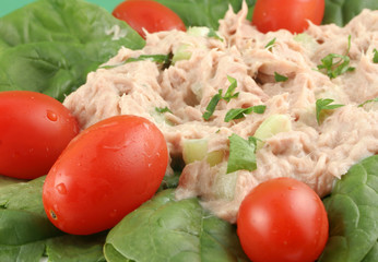 Tuna fish and spinach salad