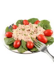 Tuna fish and spinach salad