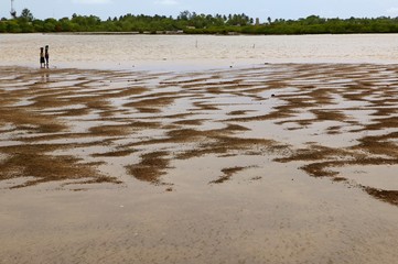 Joal Fadiouth in Africa Senegal shell island