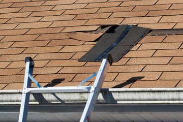 Damaged Roof Shingles Repair - 20043160